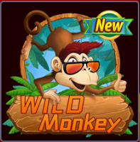 Wild Monkey Game in Singapore